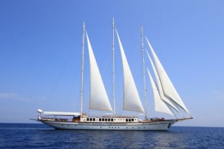 PALMALIFE yacht